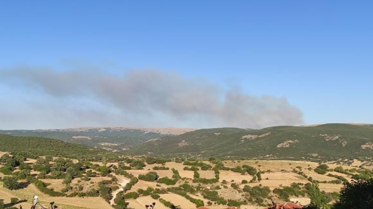 Afyonkarahisar’da orman yangını