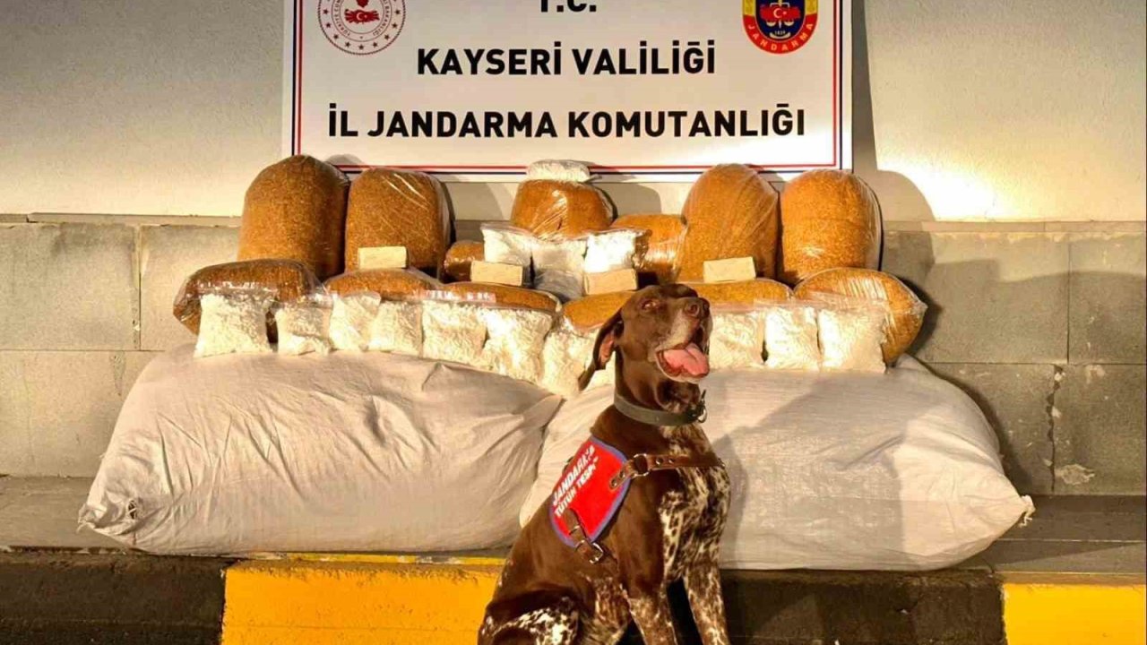 Otobüste 450 kilogram kaçak tütün ele geçirildi
