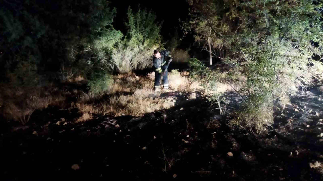 Ekipler seferber oldu, örtü yangını ormana sıçramadan söndürüldü