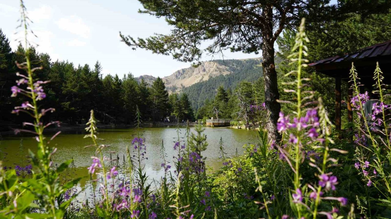 Tropikal sıcaklardan bunalanlar soluğu Limni Gölü’nde aldı
