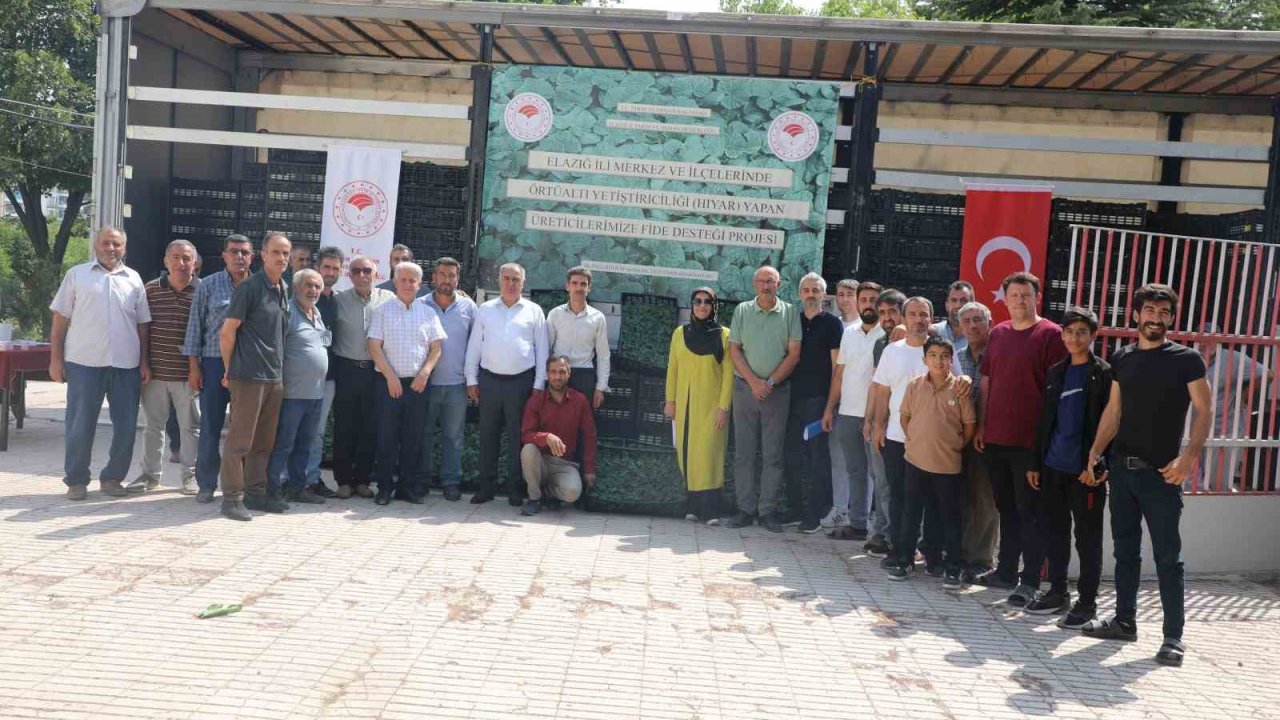 Elazığ’da 101 bin adet fide dağıtıldı