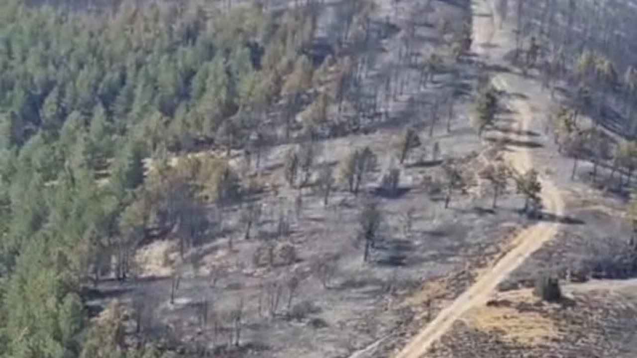 Yangında yaklaşık 5 hektarlık alan zarar gördü