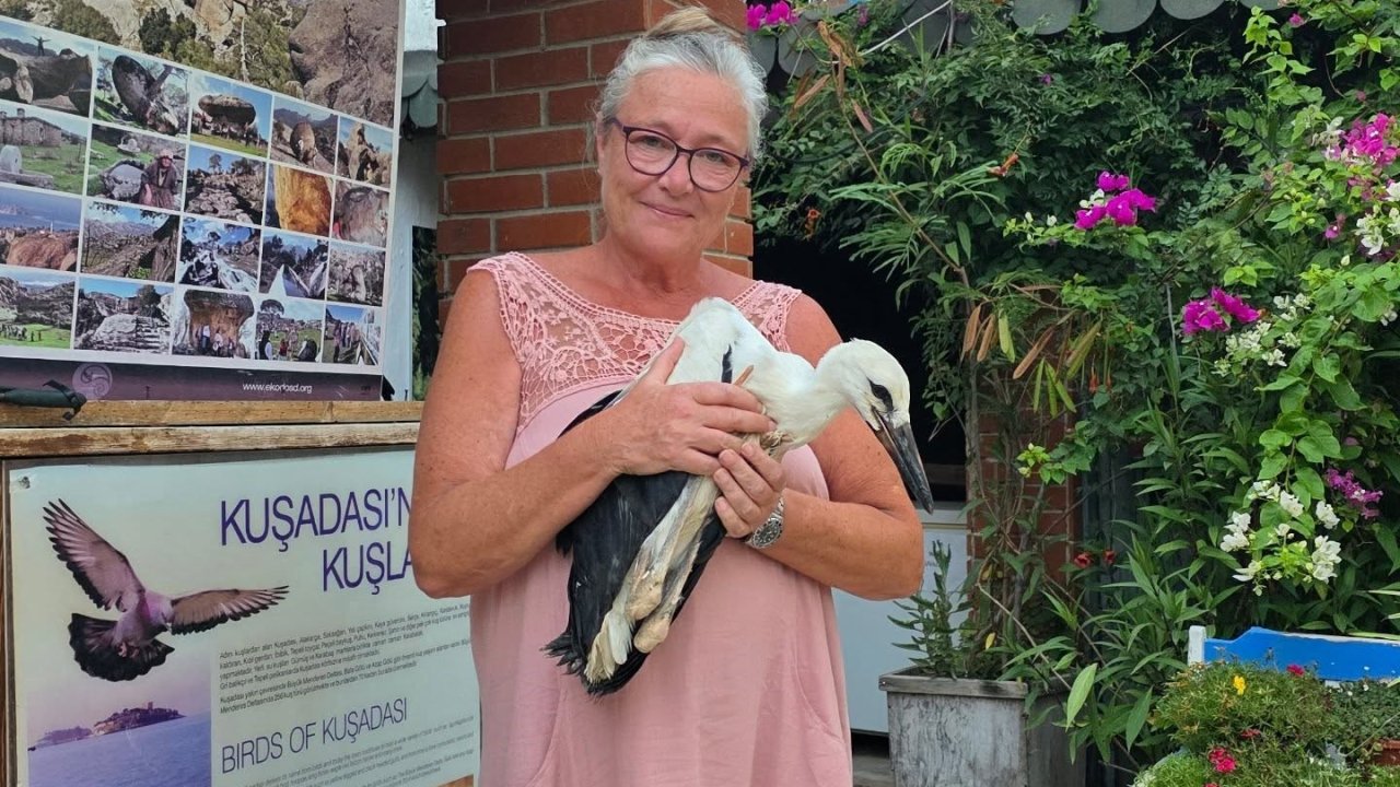 Yavru Leylek EKODOSD’da bakıma alındı, göç için hazırlanıyor