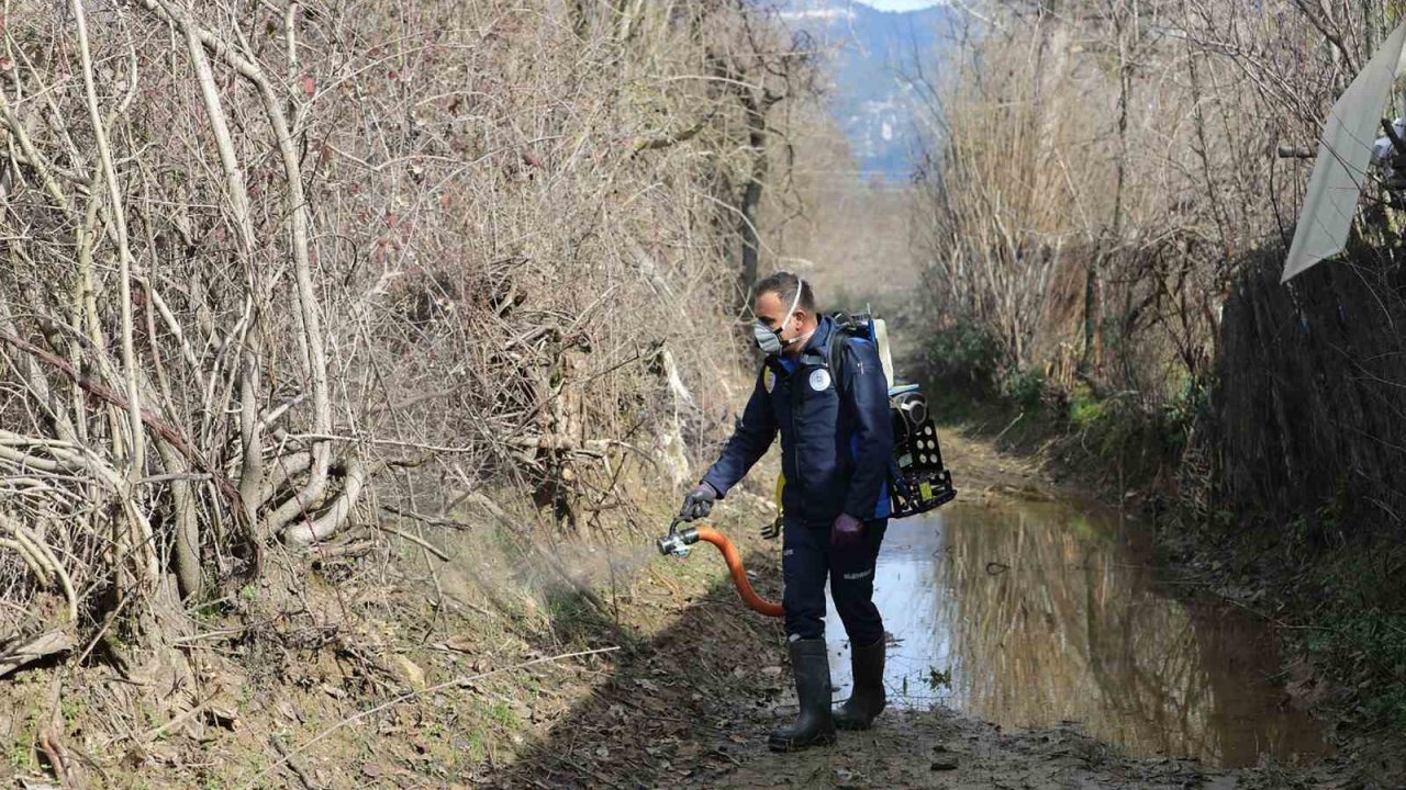 Muğla Büyükşehir’den 13 ilçede vektörle mücadele