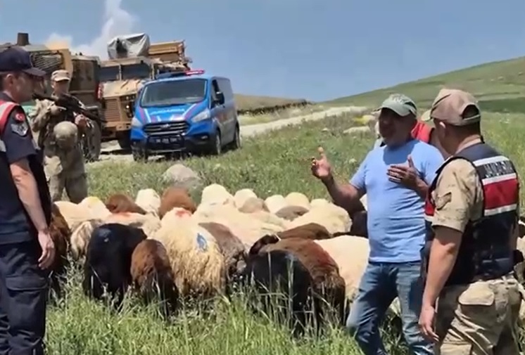 Kars’ta kayıp hayvanlar bulundu