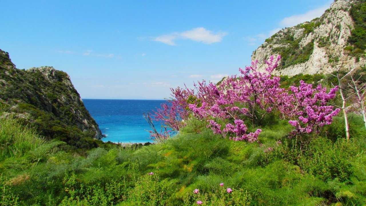 Doğaseverler ’Dilek Yarımadası’na dikkat çekti