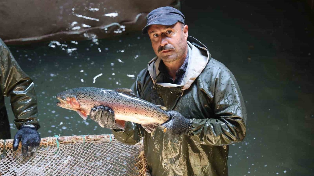 Laboratuvar değil alabalık üretim tesisi