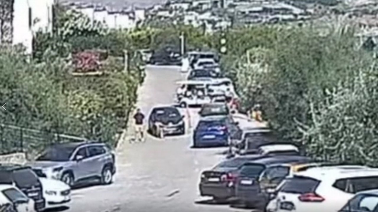 Köpeği için hukuk mücadelesi başlattı