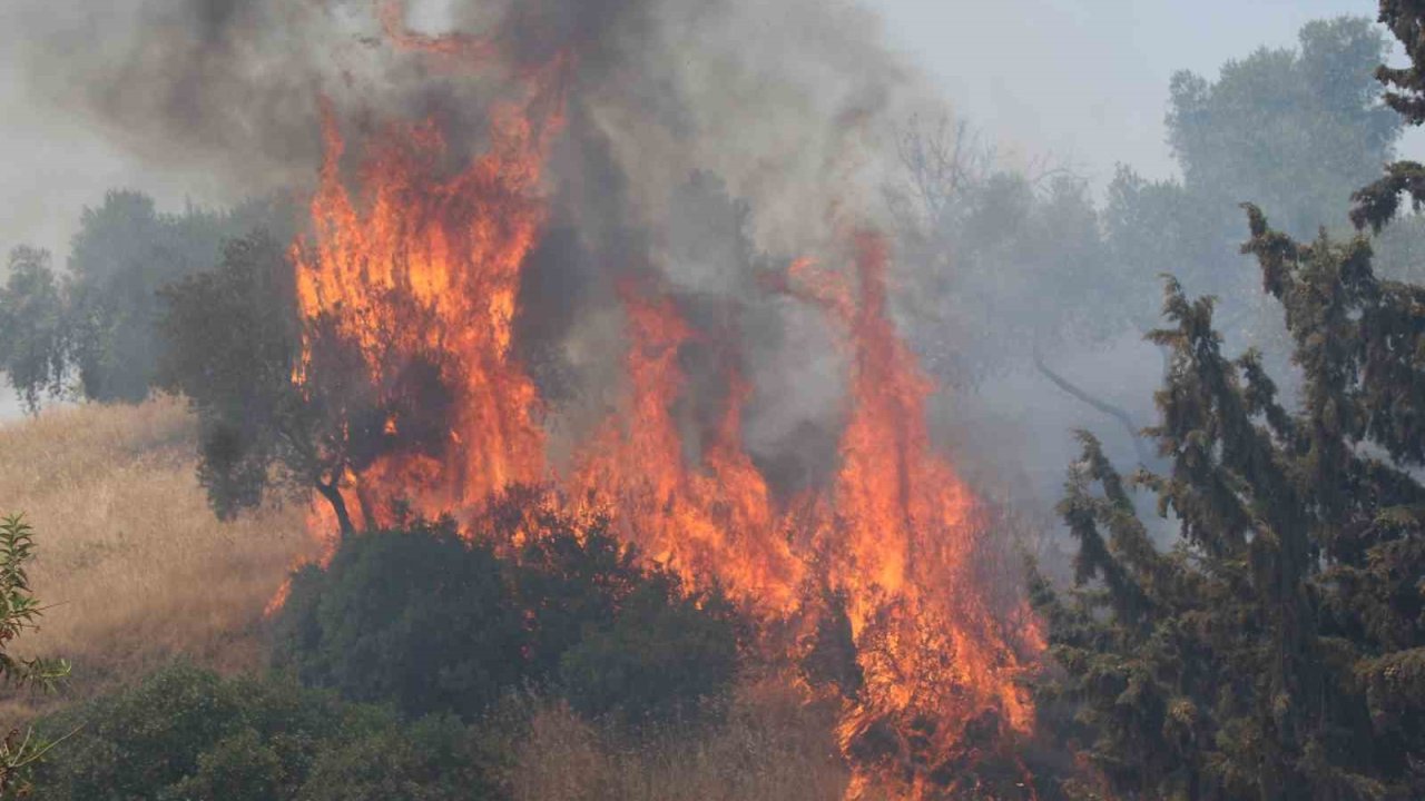 Havaya ateş açan şahıslar yangına sebep oldu