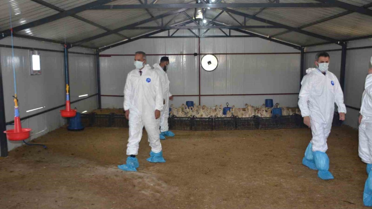 Bulanık’ta "Kaz Yetiştiriciliği" projesi kapanış programı gerçekleştirildi