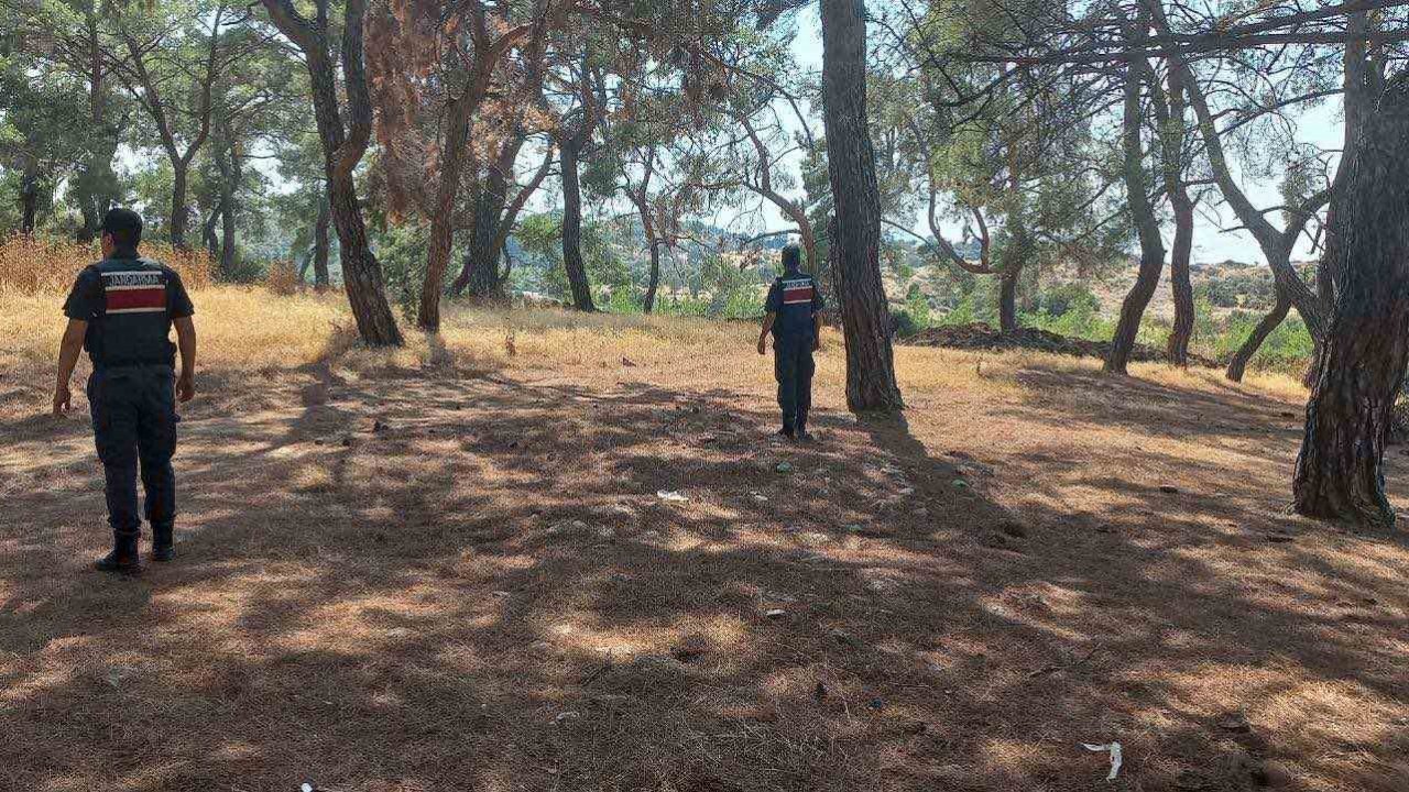 Jandarmadan orman devriyesi