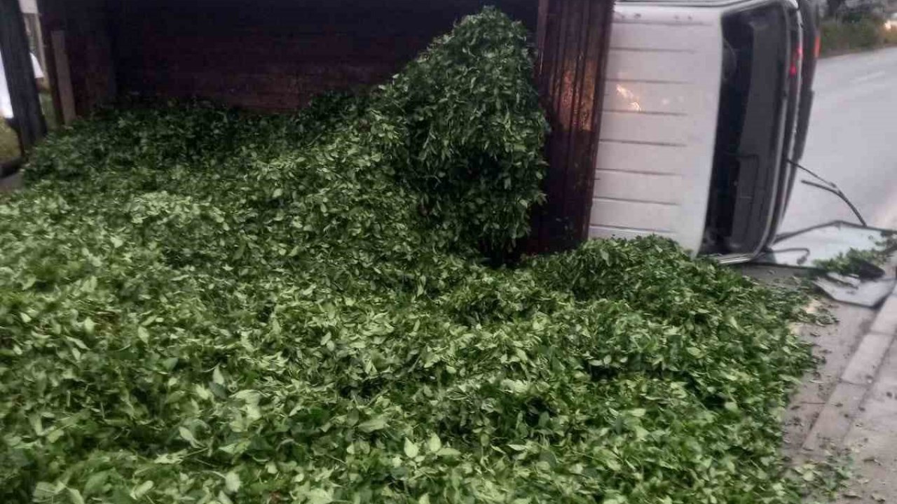 Kaza sonrası yola saçılan kamyon kasasındaki 10 ton çayı böyle temizlediler