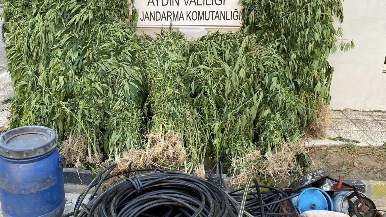Jandarmadan uyuşturucu operasyonu: 17 yakalama