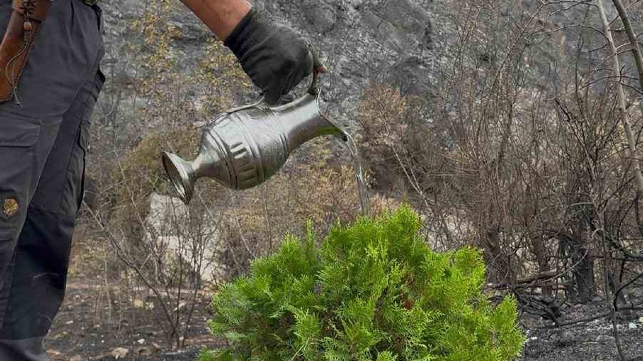 Kül olan topraklara umut ekti