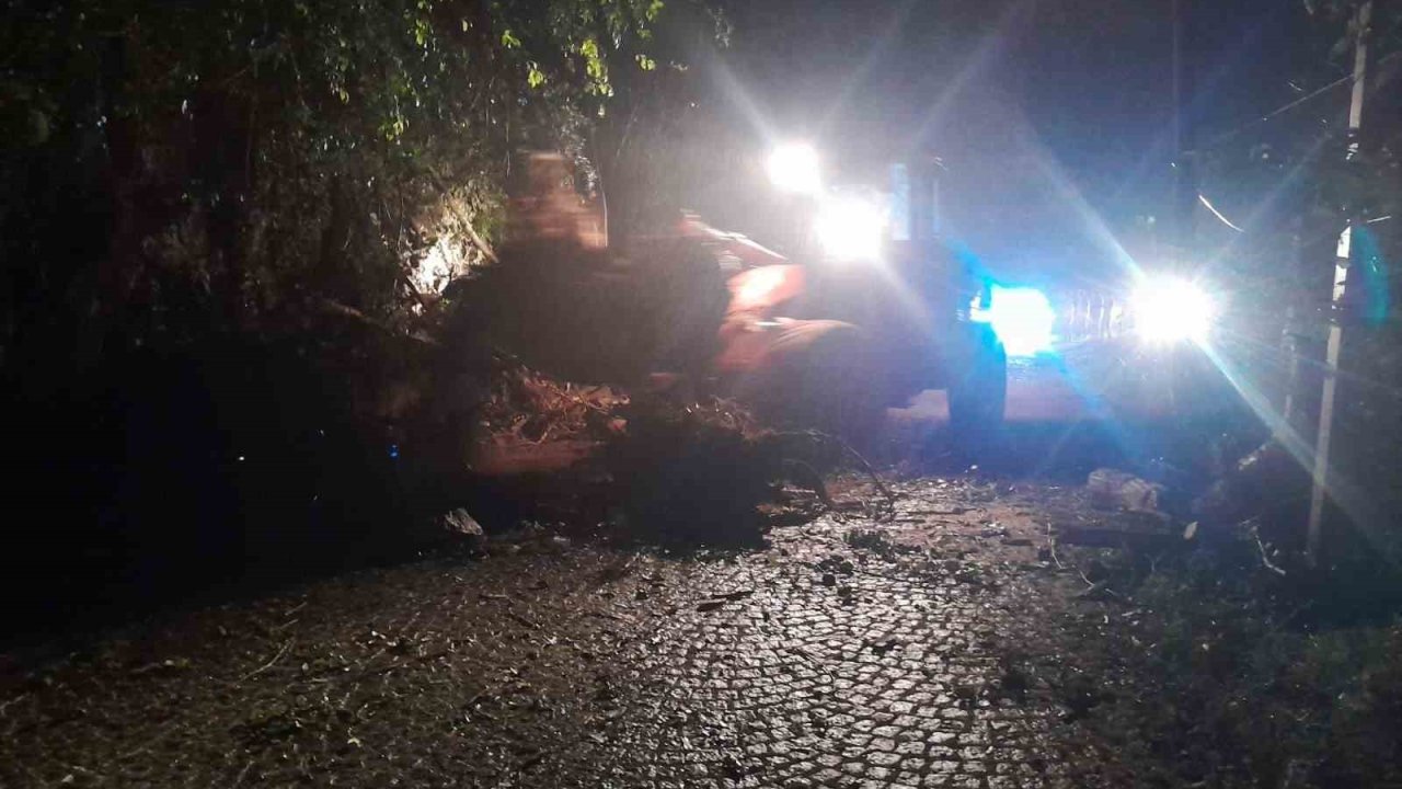 Rize’de heyelan: Yol ulaşıma kapandı