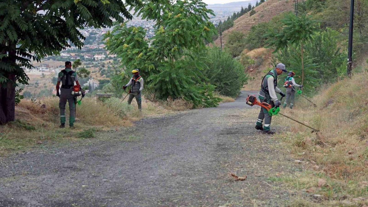 Ali Dağı’nda yangına karşı üst düzey önlem