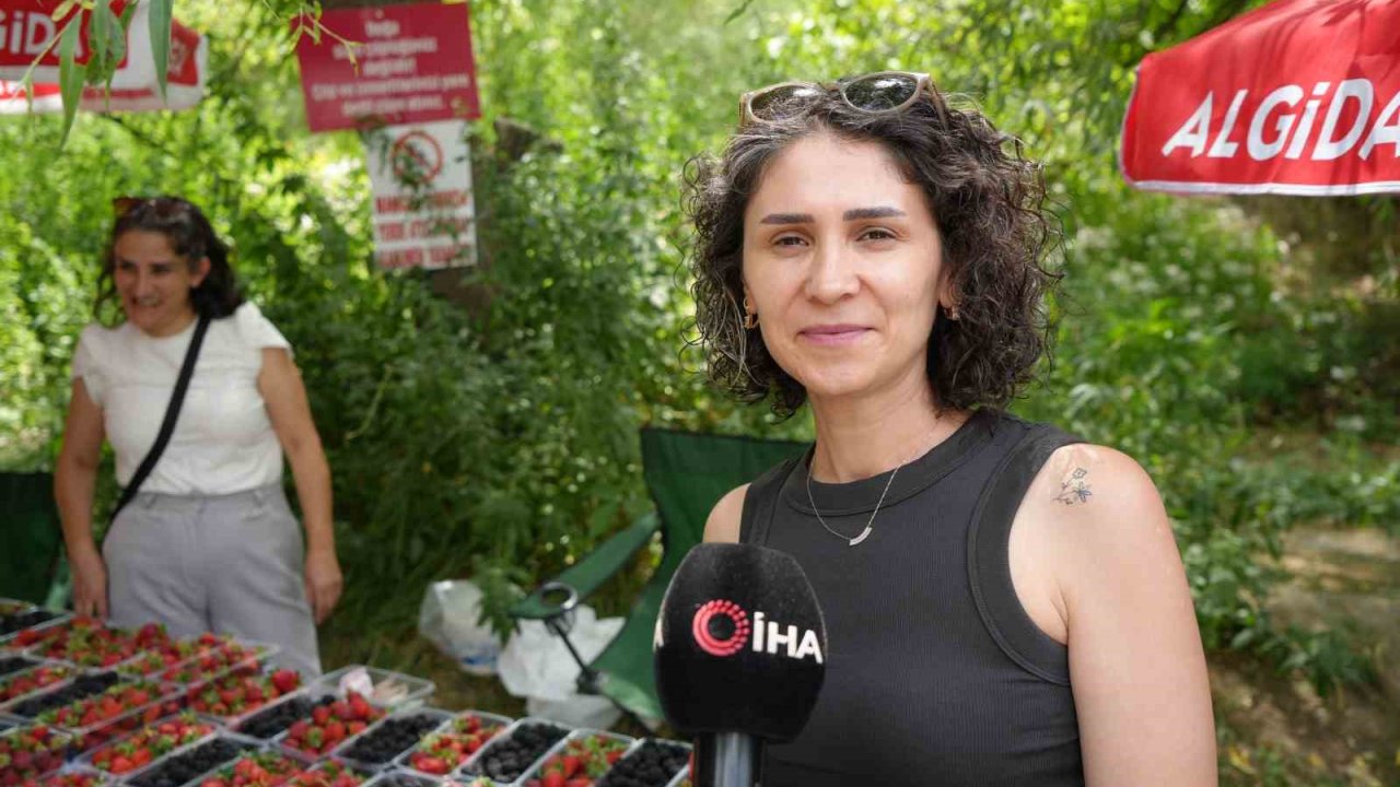 Kavurucu sıcaklarda çilek ve böğürtlen mevsimi