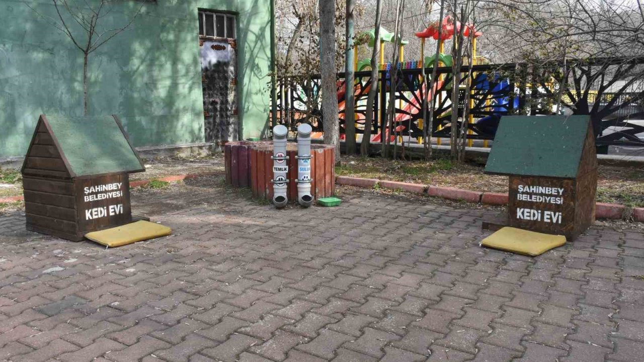 Başkan Tahmazoğlu: "Sıcak havalar hayvanları da olumsuz etkiliyor"