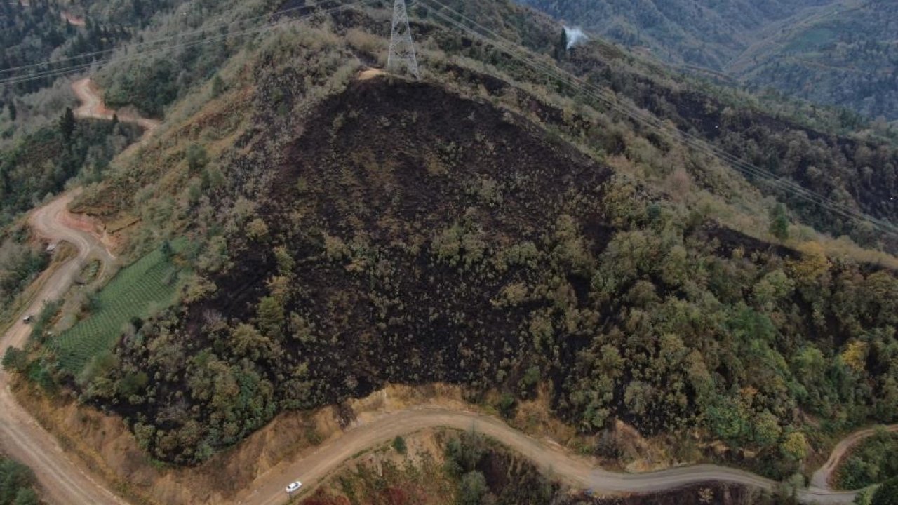 Doç. Dr. Kadir Alperen Coşkuner, "Doğu Karadeniz çok yağış alır, bu nedenle yangın olmaz şeklinde bir inanış vardır ancak bu doğru değildir"