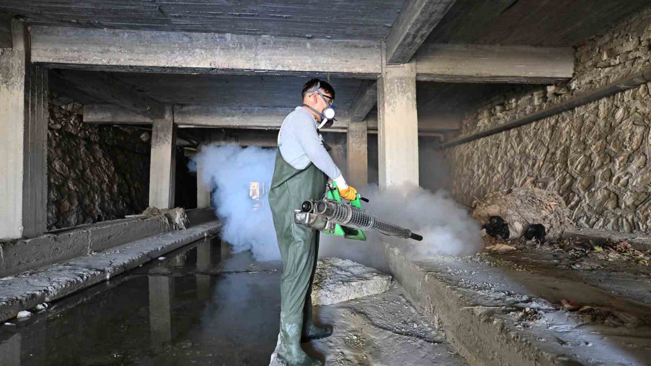 Mut’ta sineksiz yaz için etkili mücadele sürüyor