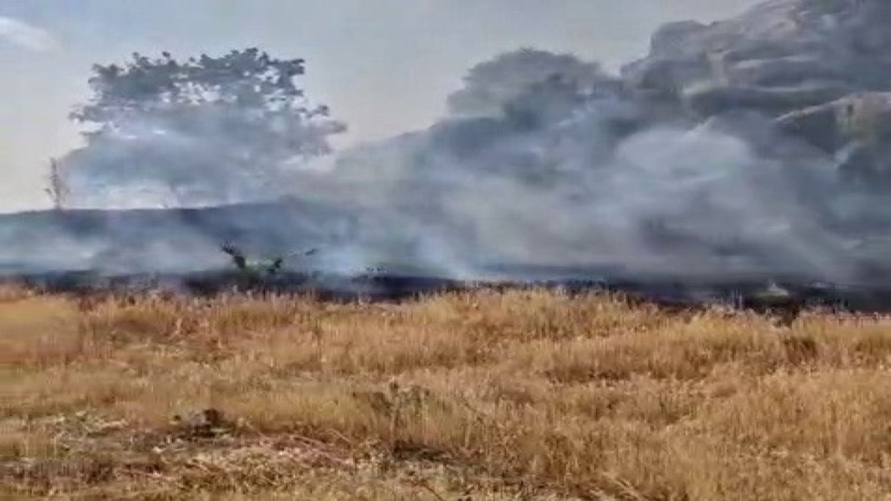 Tut ilçesinde örtü yangını