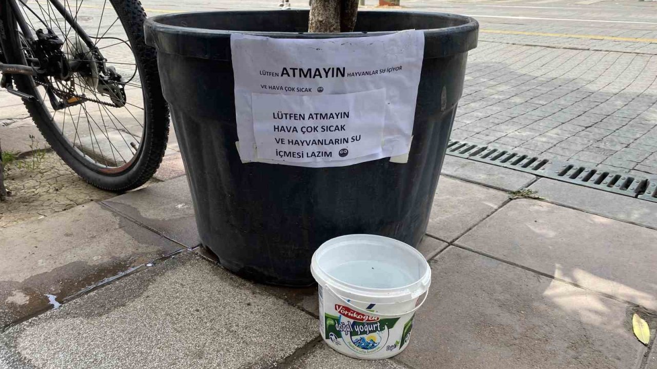 Hayvansever vatandaşın kibar uyarı yazısı görenleri gülümsetti