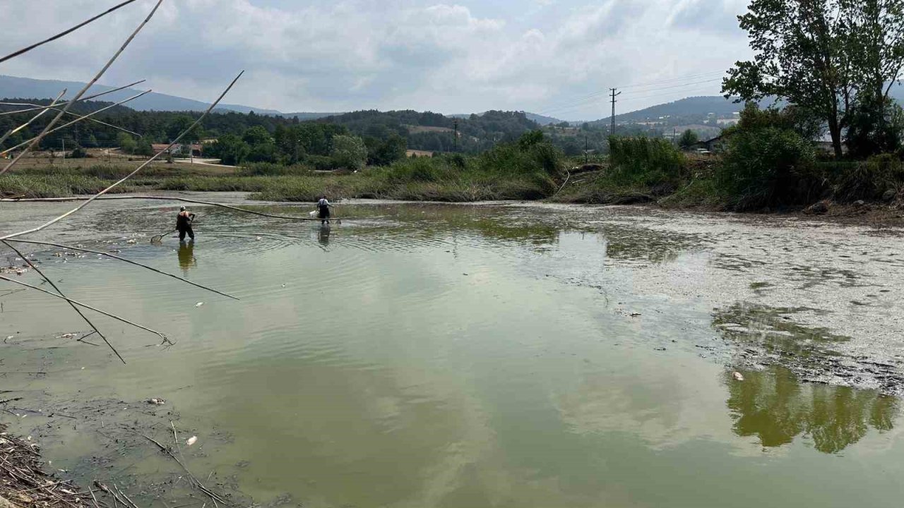Gölette can çekişen onlarca balık kurtarıldı