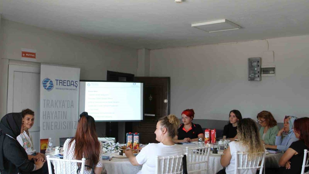 Enerji sektöründe toplumsal cinsiyet eşitliği için örnek uygulama