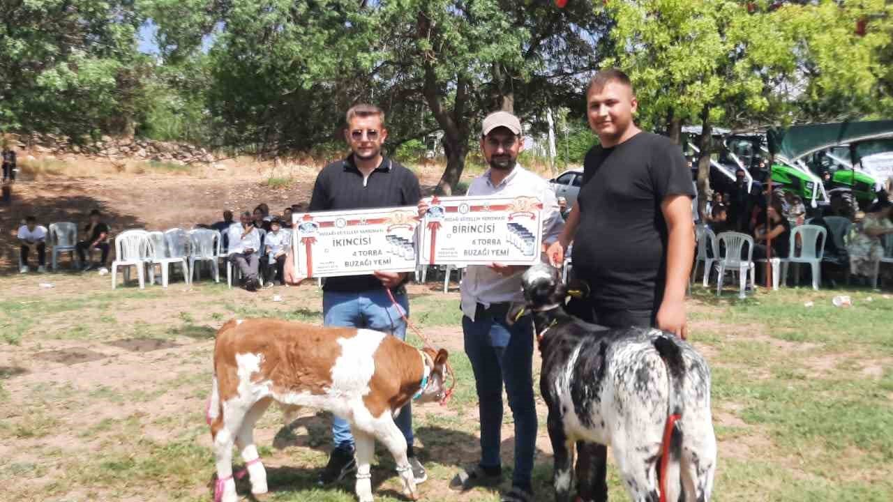Festivalde en güzel kuzu ve buzağı seçildi