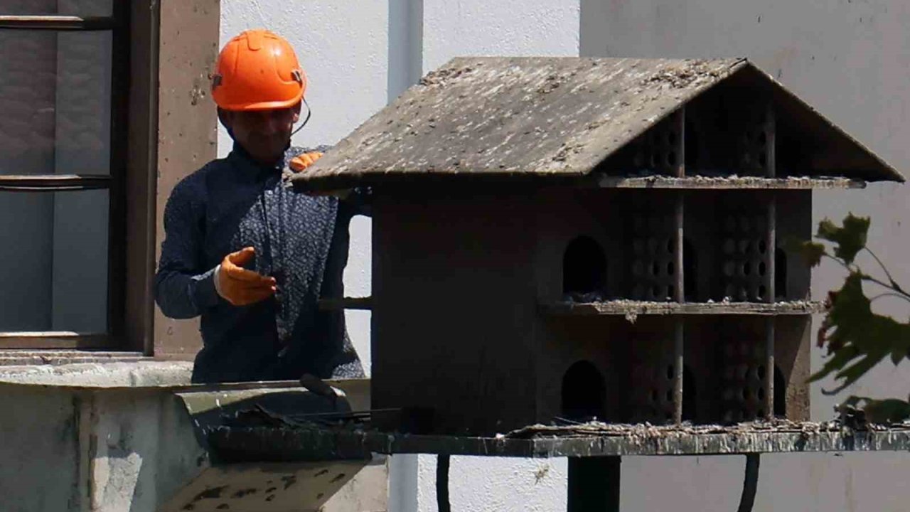 Menteşe’de güvercin yuvalarında temizlik yapıldı