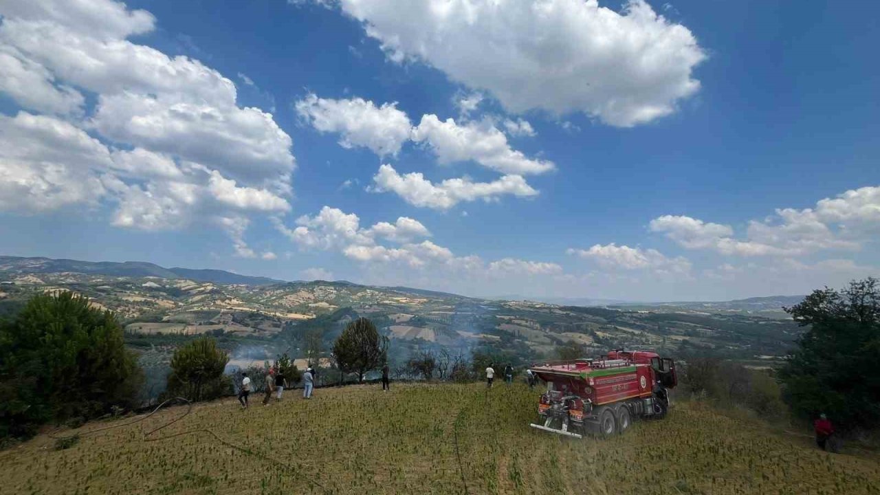 Tütün tarlasına çekilen seyyar elektrik kablosu yangına neden oldu