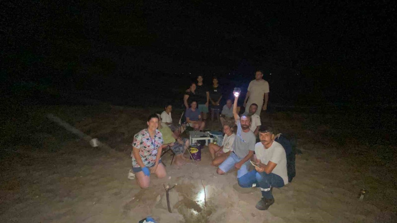 Didim’de 47 yavru caretta caretta denize ulaştı