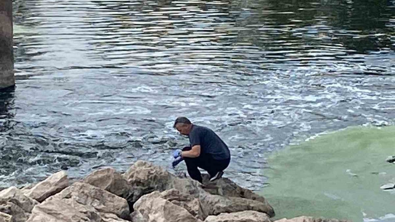 Balık ölümlerinin nedeni aşırı sıcaklar