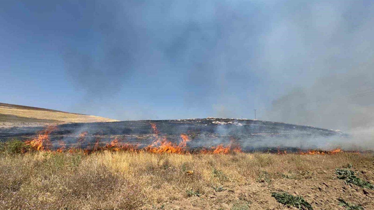 Van’da kuru ot yangını: Yüzlerce dönüm arazi kül oldu