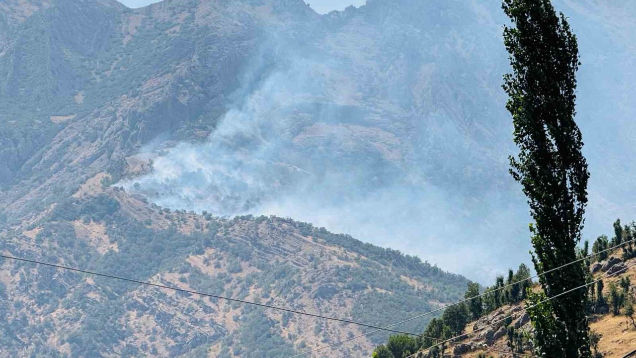 Şırnak’ta orman yangını: Alevler kontrol altına alınamıyor