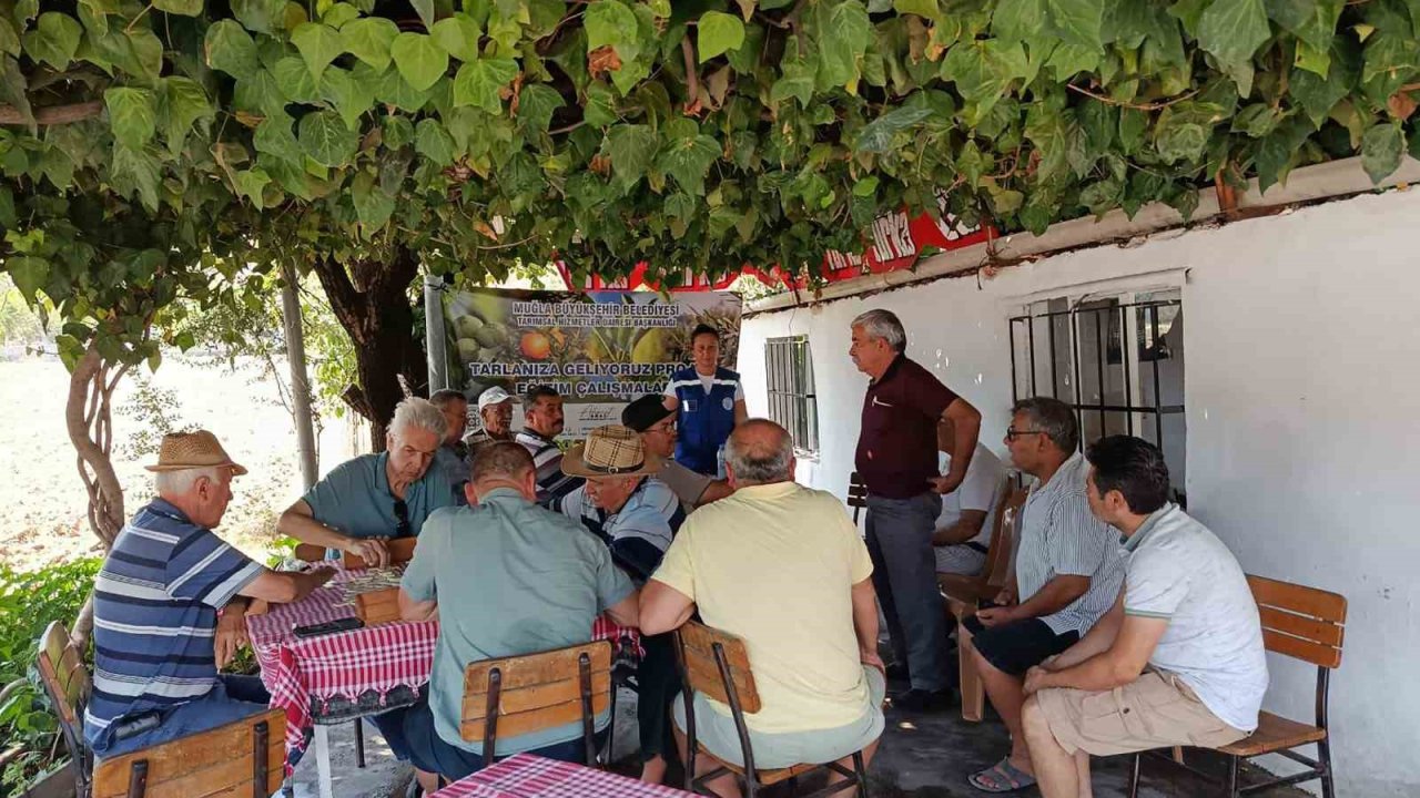 Büyükşehir ‘Tarlanıza Geliyoruz’ projesiyle Milaslı üreticilerin yanında