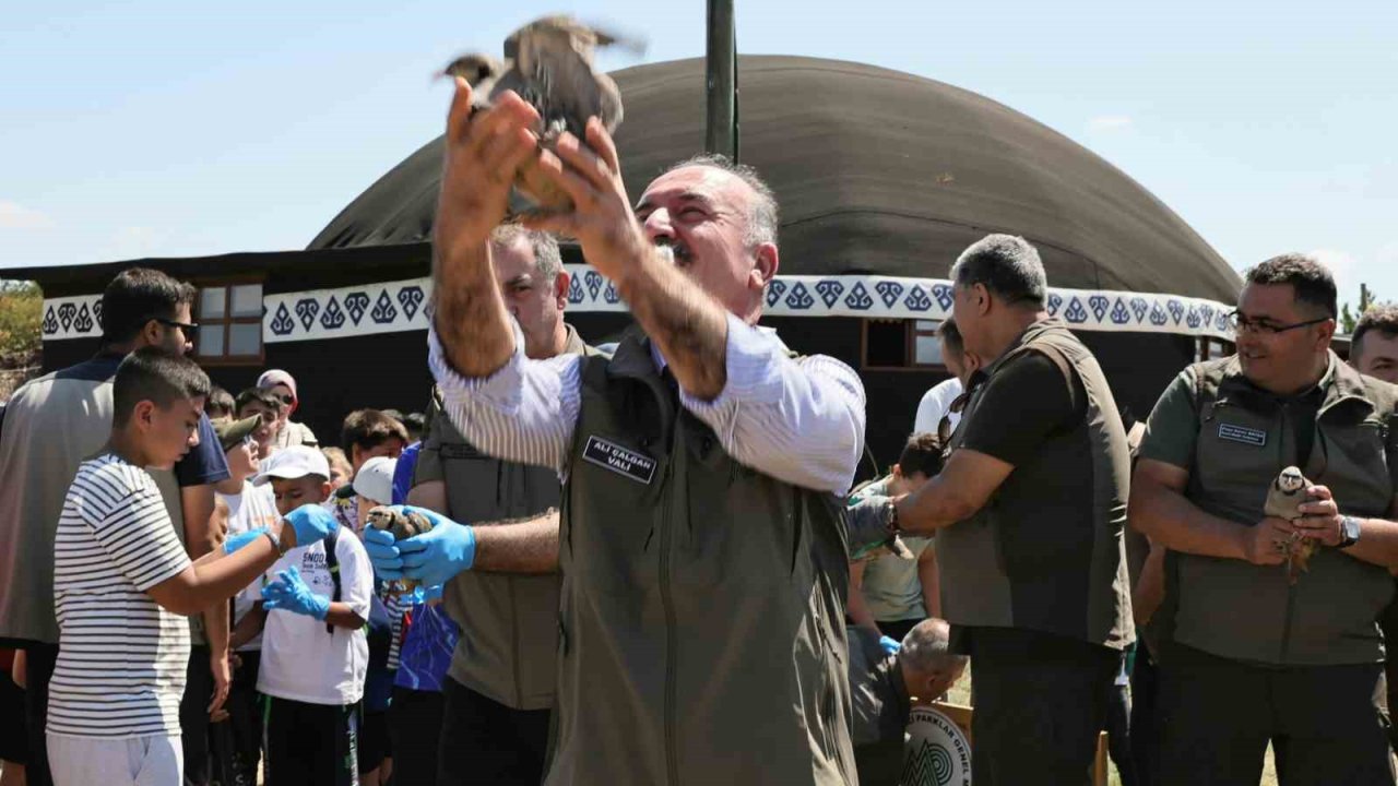 Çorum’da 120 kınalı keklik doğaya salındı