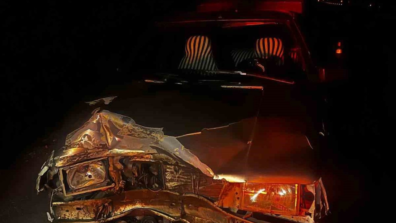 Otomobilin çarptığı domuz telef oldu