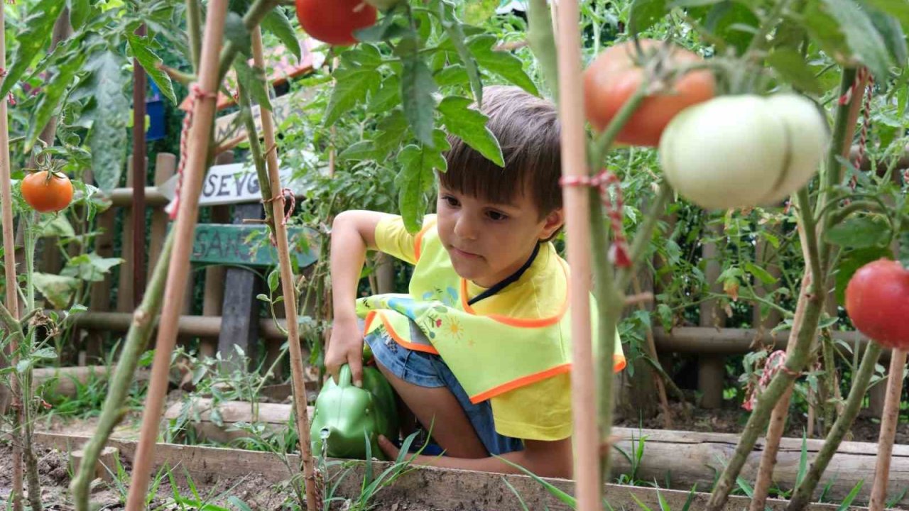 Lokomotif Çocuk Köyü’nde hasat zamanı