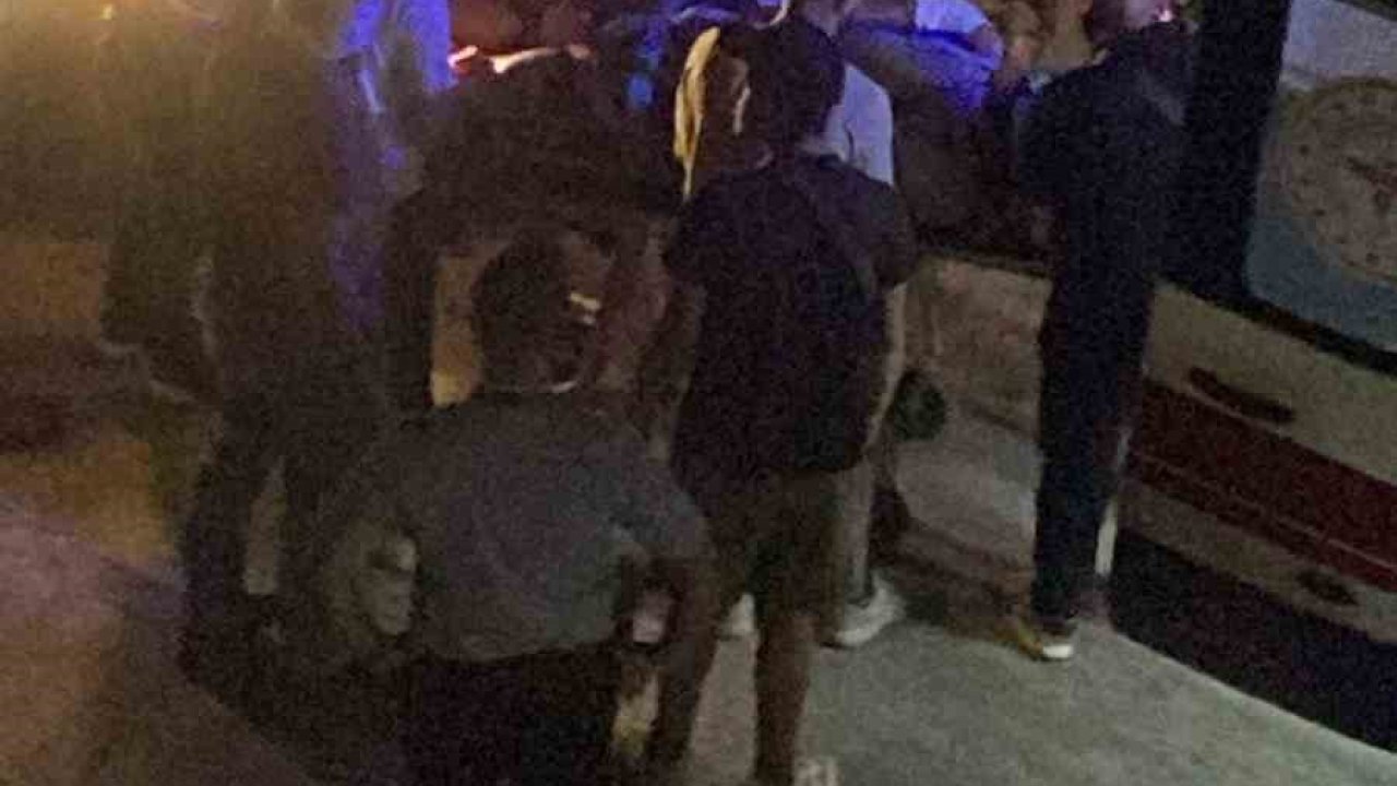 Yalova’da çöp kamyonu minibüsle çarpıştı: 2 yaralı