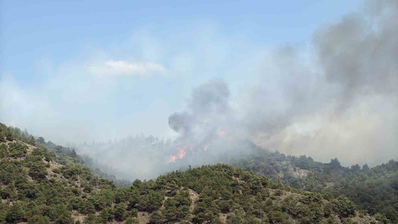 Tokat’ın Erbaa ilçesinde çıkan orman yangınına müdahale ediliyor
