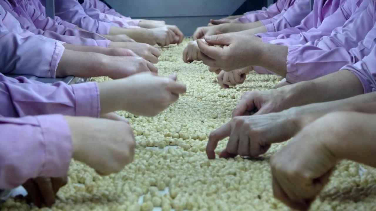 Yedi ayda 14 bin 348 ton ihraç edildi