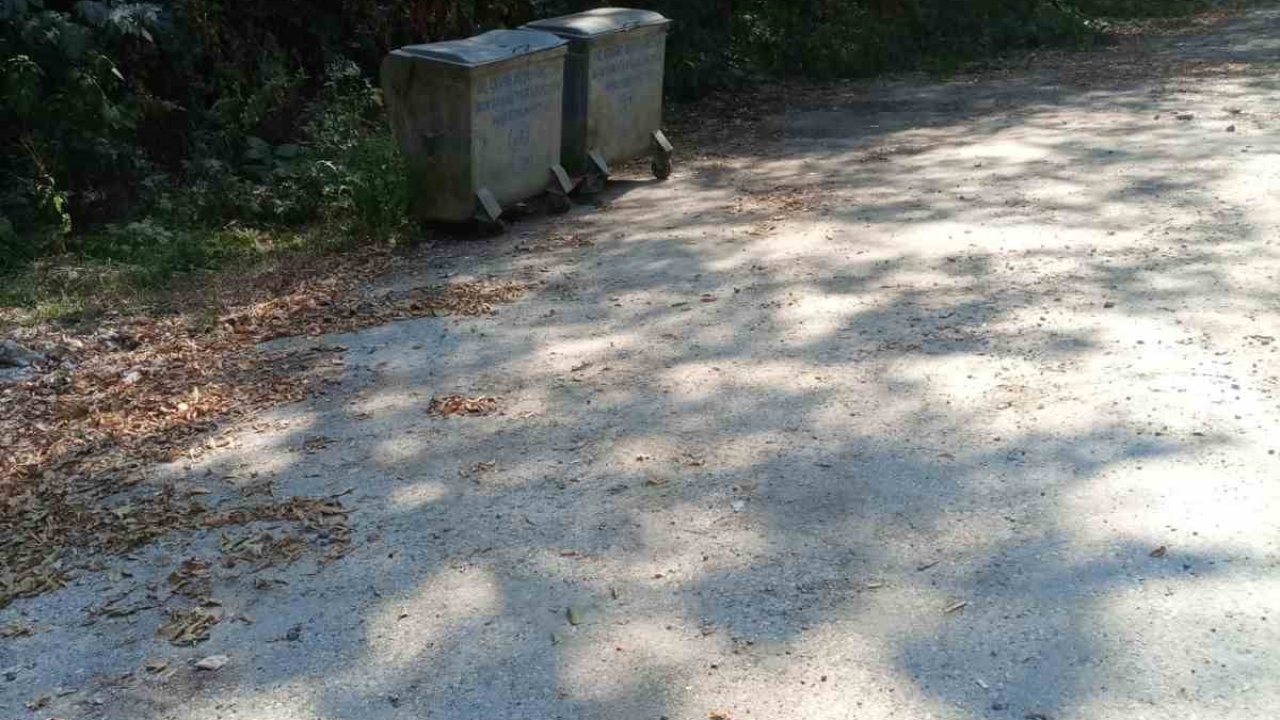 Şeker Kanyonu’ndaki çevre kirliliği giderildi