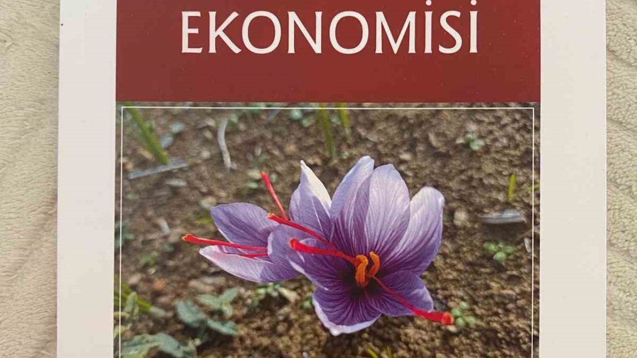 Dünyanın en pahalı baharatının faydaları ’Safran Yetiştiriciliği ve Ekonomisi’ kitabında anlatıldı