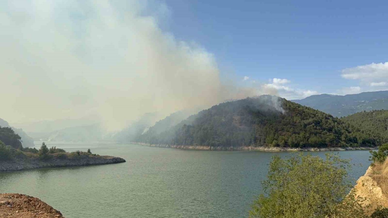 Erbaa’da orman yangını: 50 hektarlık alan kül oldu