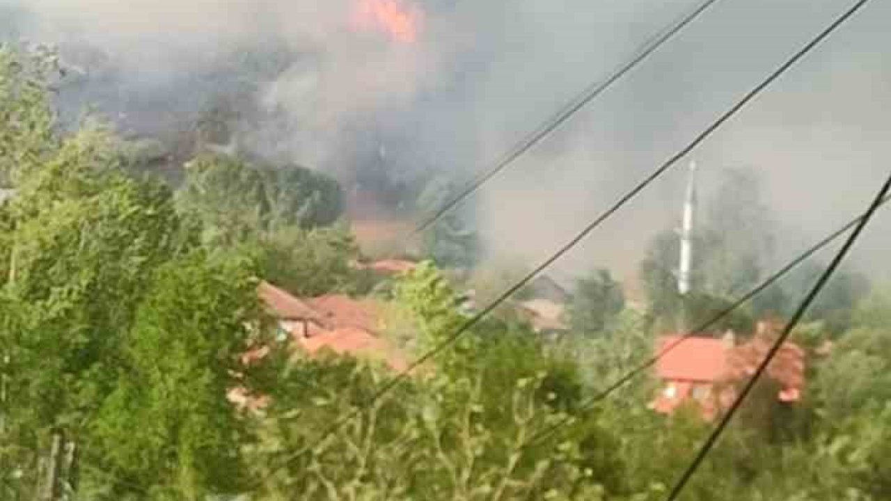 Bartın’da orman yangını: Alevler rüzgarın etkisiyle yerleşim yerini tehdit ediyor