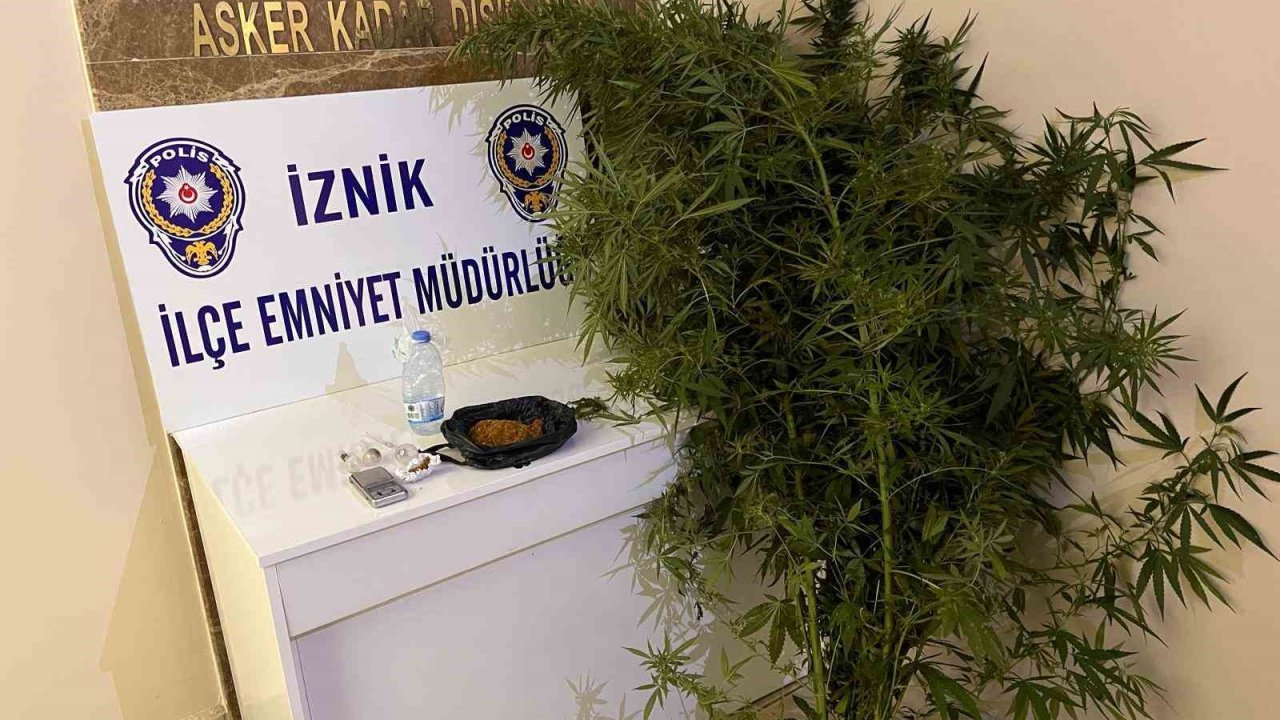 Bahçesinde hint keneviri yetiştiren kişiler tutuklandı