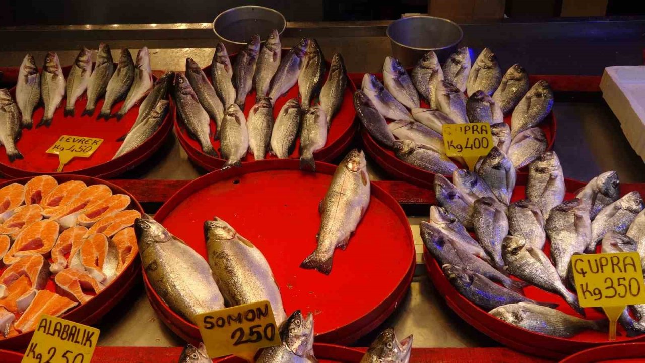 Balıkçıların gözü bu sezon hamside