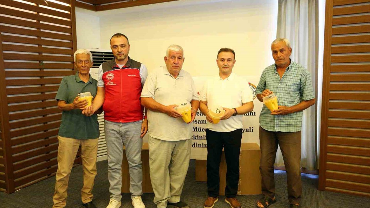 Akdeniz Meyve Sineği ile mücadele için tuzak dağıtım