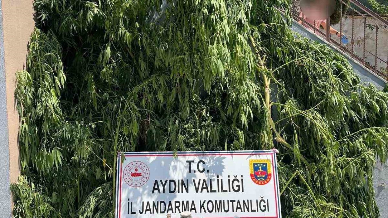 Evinin bahçesine saklamak istedi, narkotik köpeğine takıldı